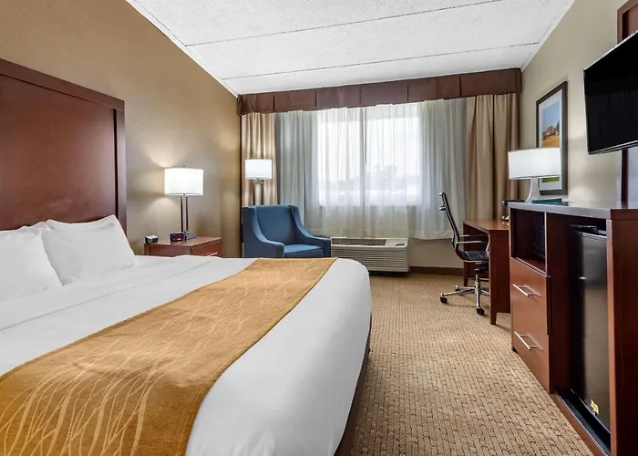 Top Sheraton Denver West Hotels